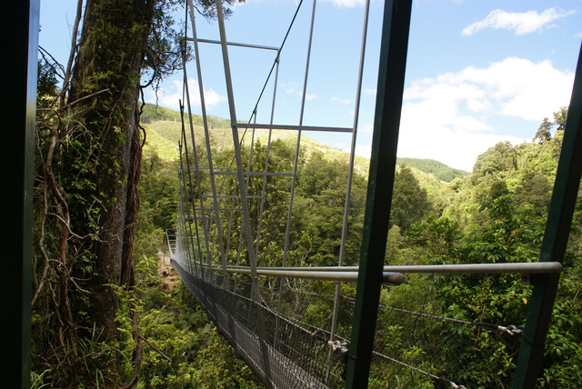 Swing bridge at Waiohine Gorge